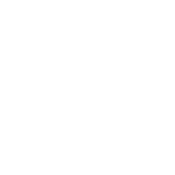 Immigration advisers